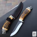 چاقوشکاری کله‌گرگ کلمبیا